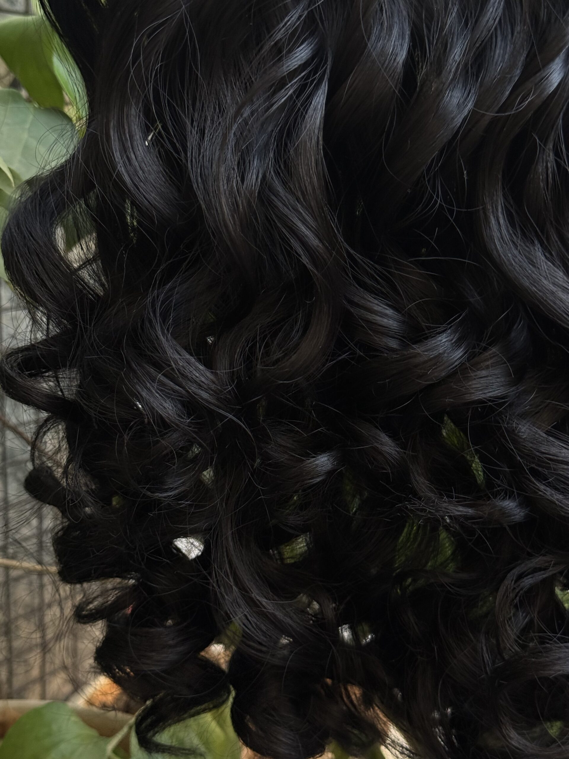 mini astrophytum mini astrophytum