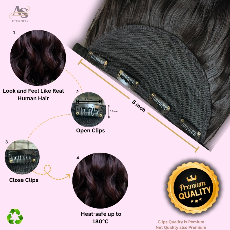 ball cactus ball cactus