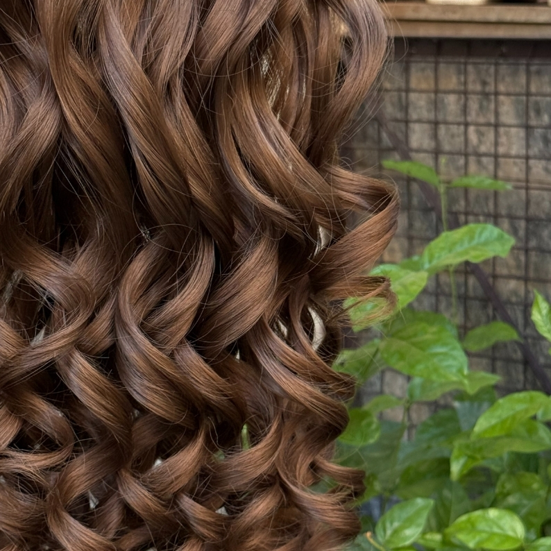 mini san pedro cactus mini san pedro cactus